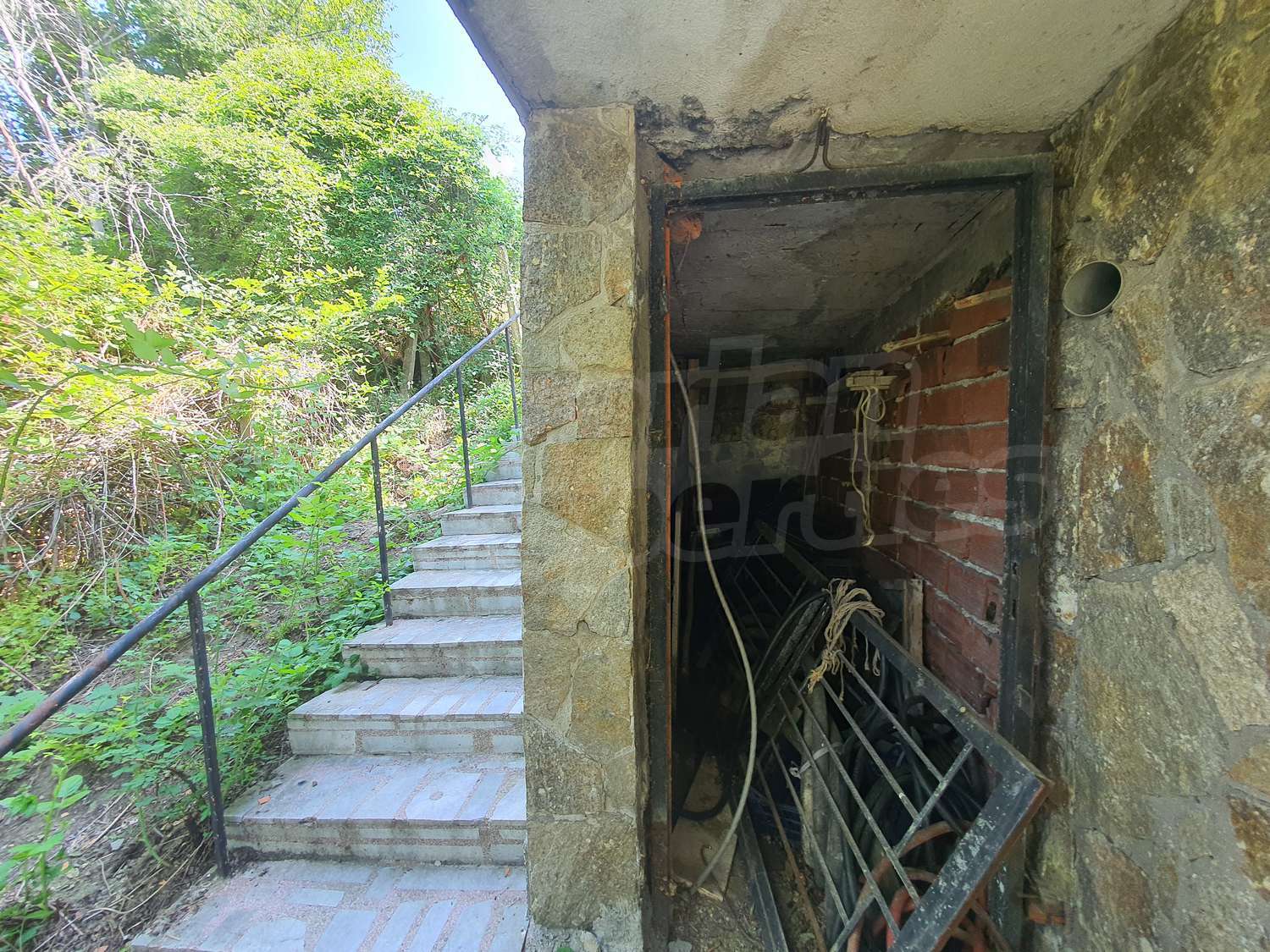 Gallery Picture 14