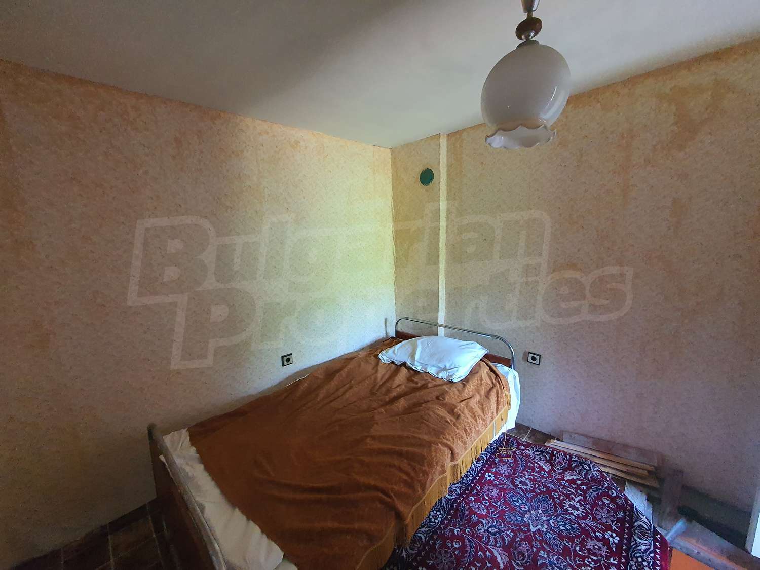 Gallery Picture 21
