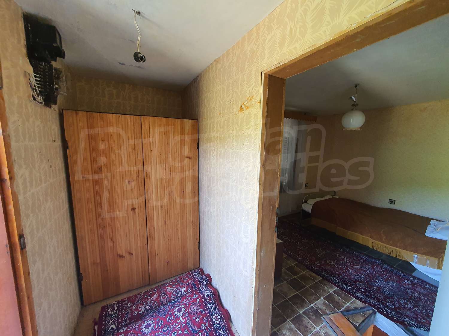 Gallery Picture 24