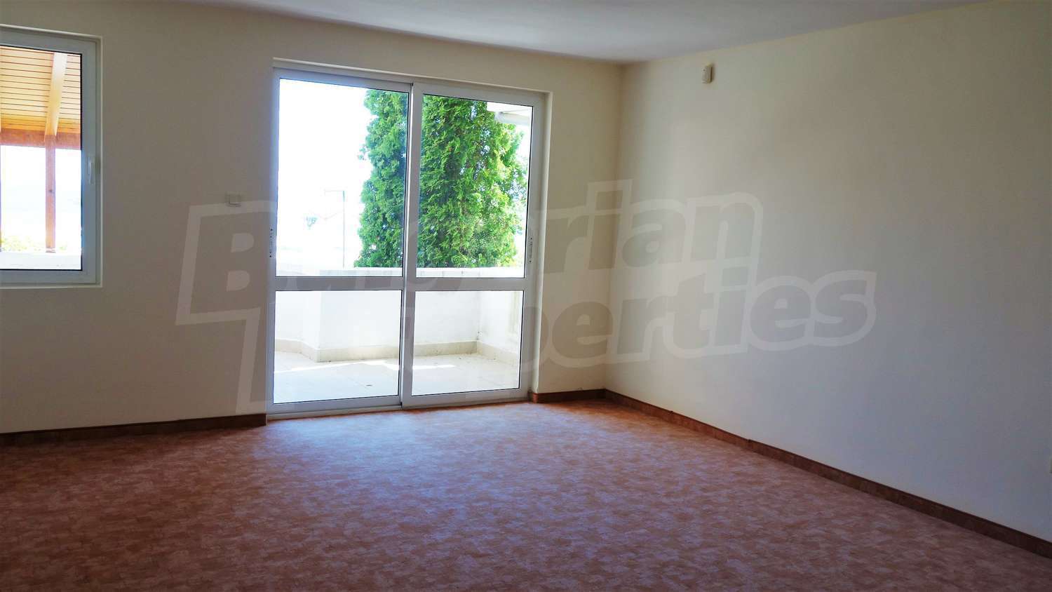 Gallery Picture 18
