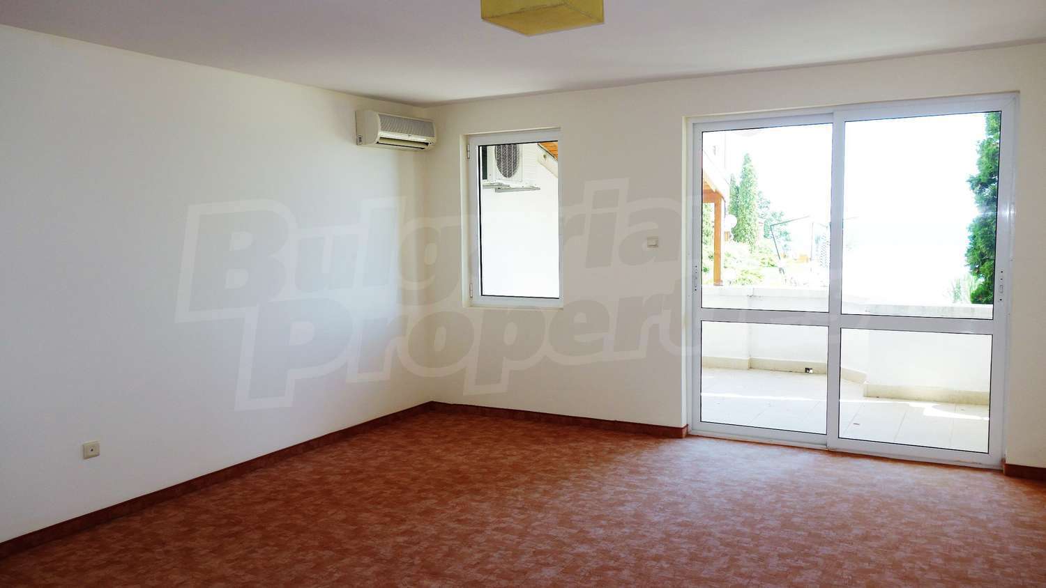 Gallery Picture 19