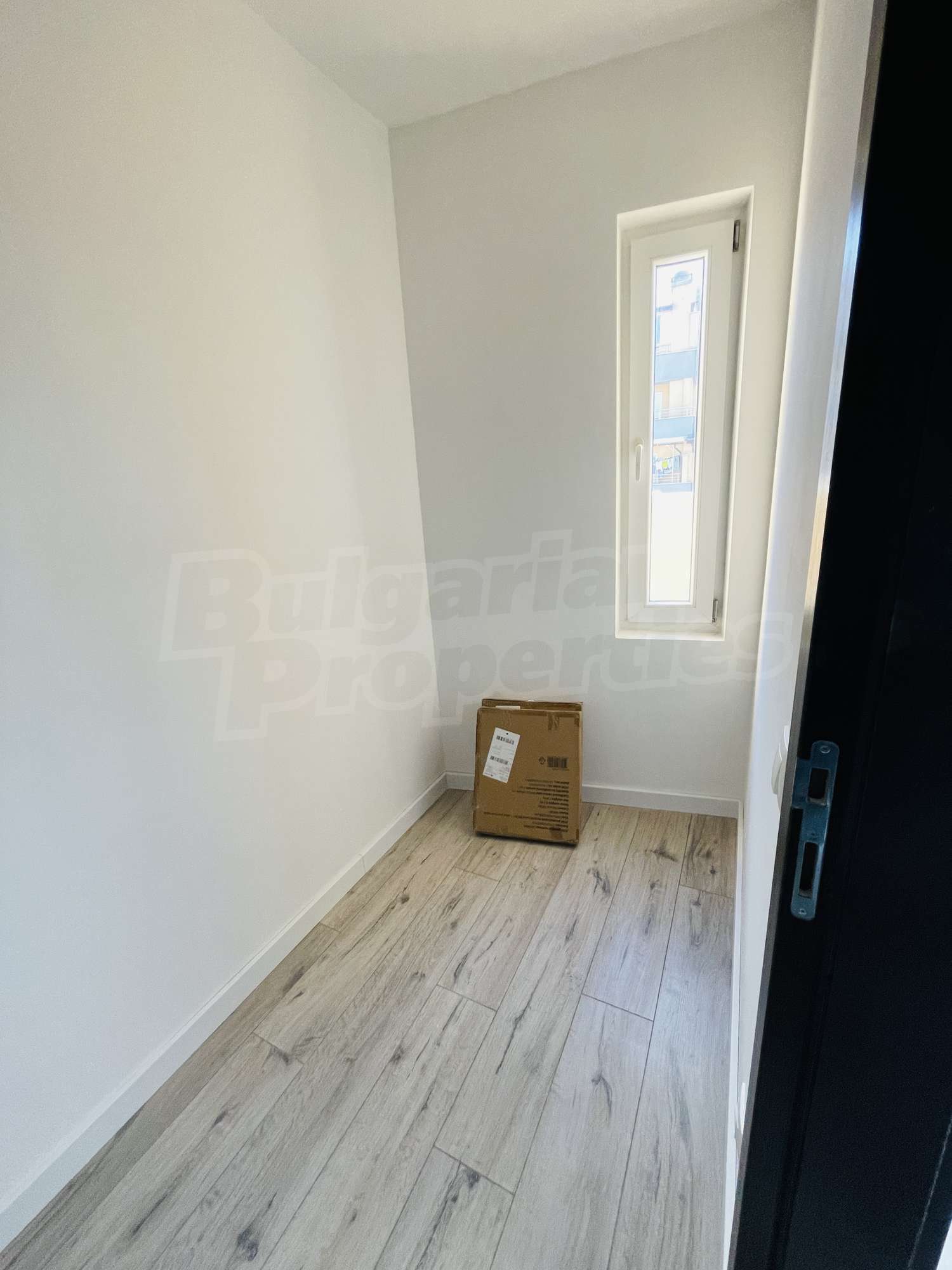 Gallery Picture 19