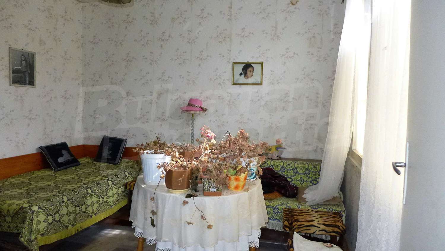 Gallery Picture 22