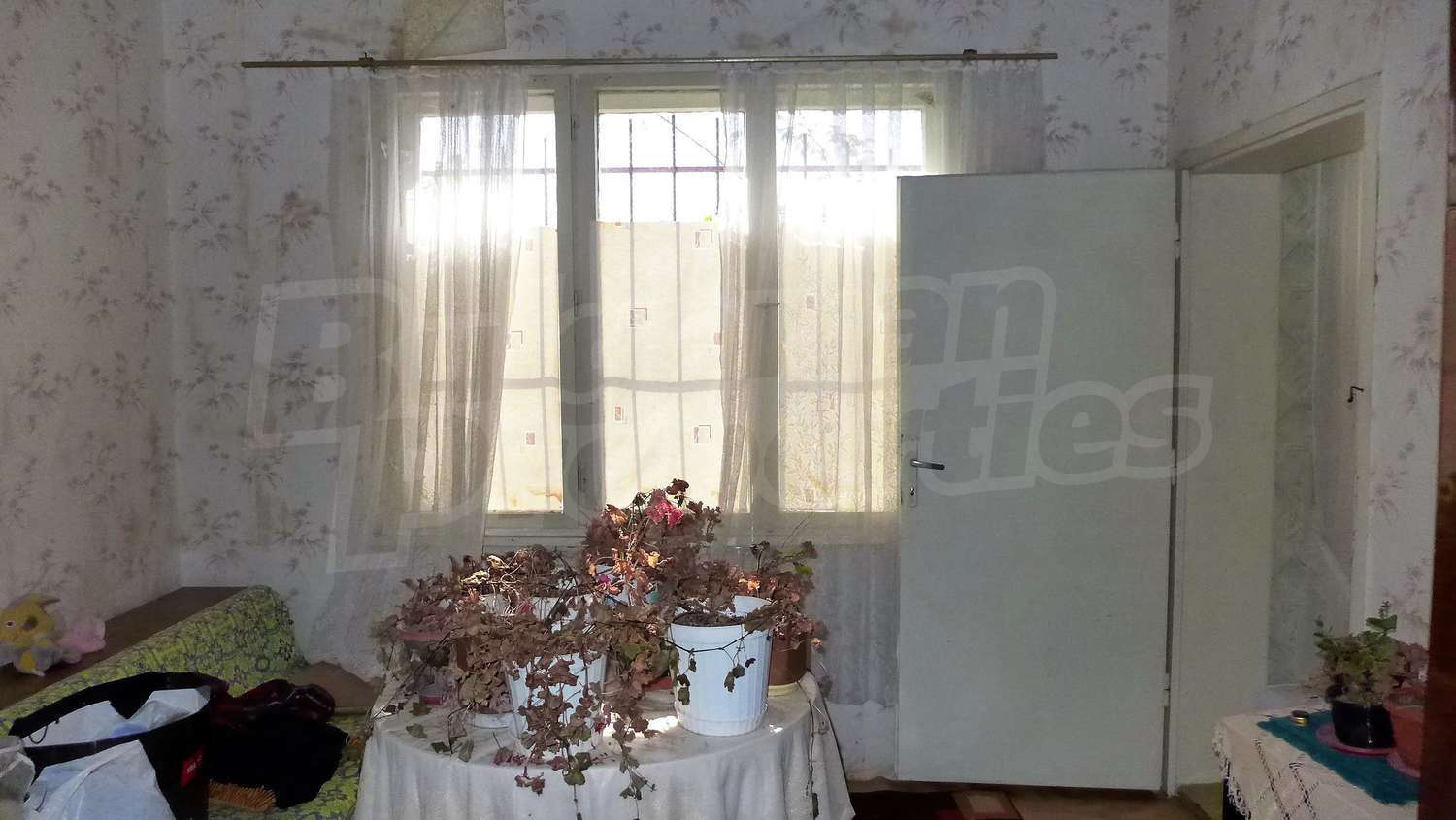 Gallery Picture 24