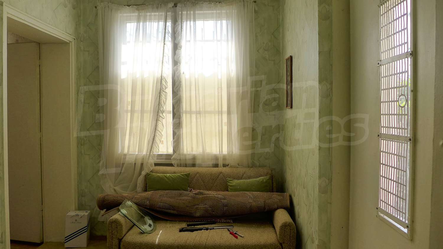 Gallery Picture 26