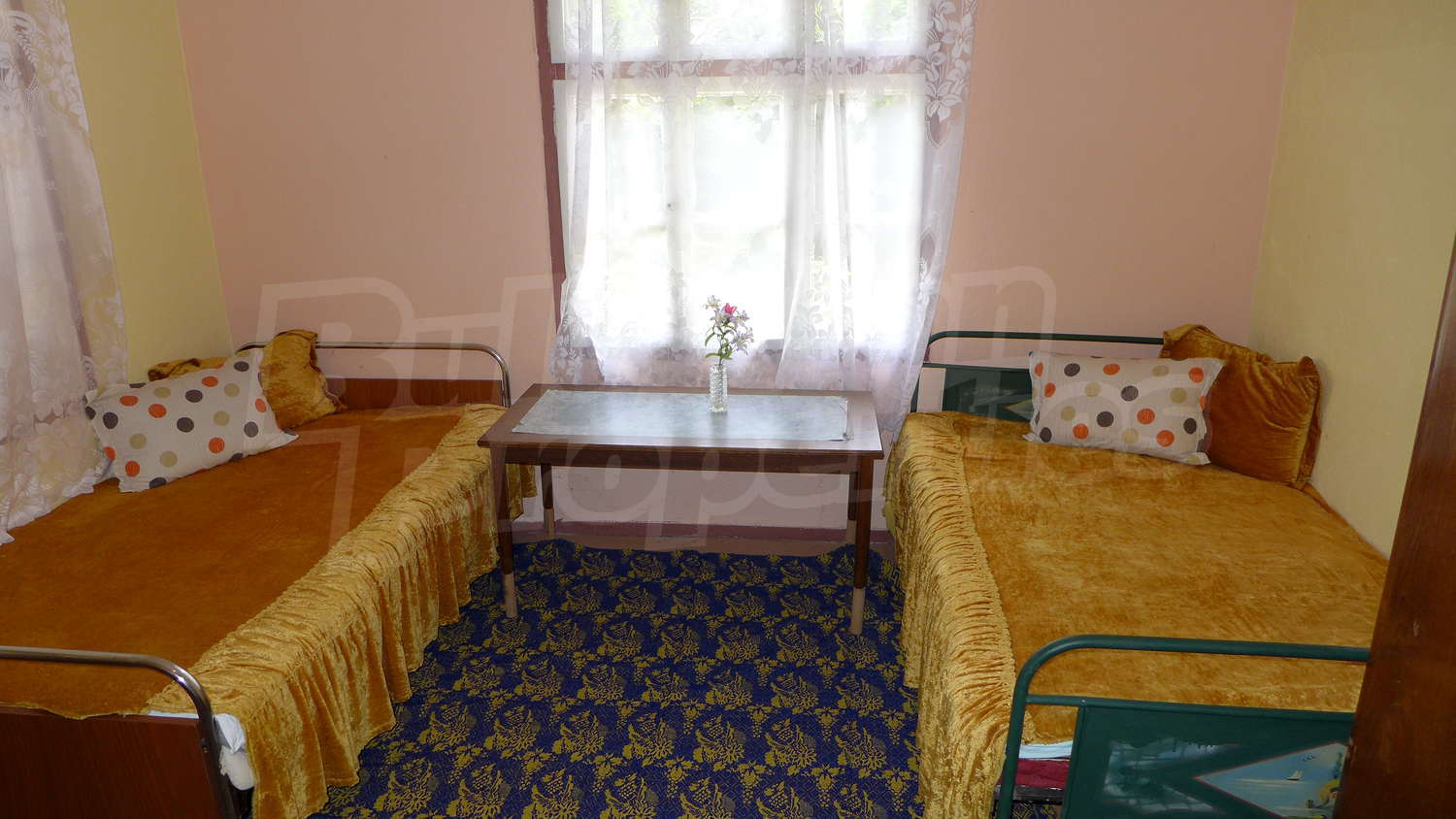 Gallery Picture 14