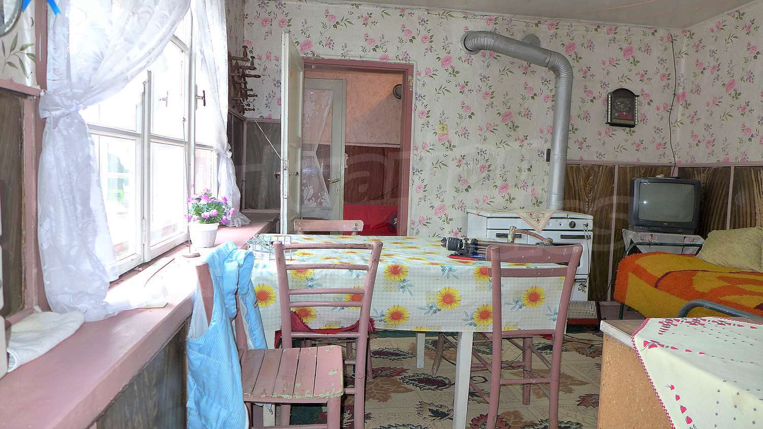 Gallery Picture 29