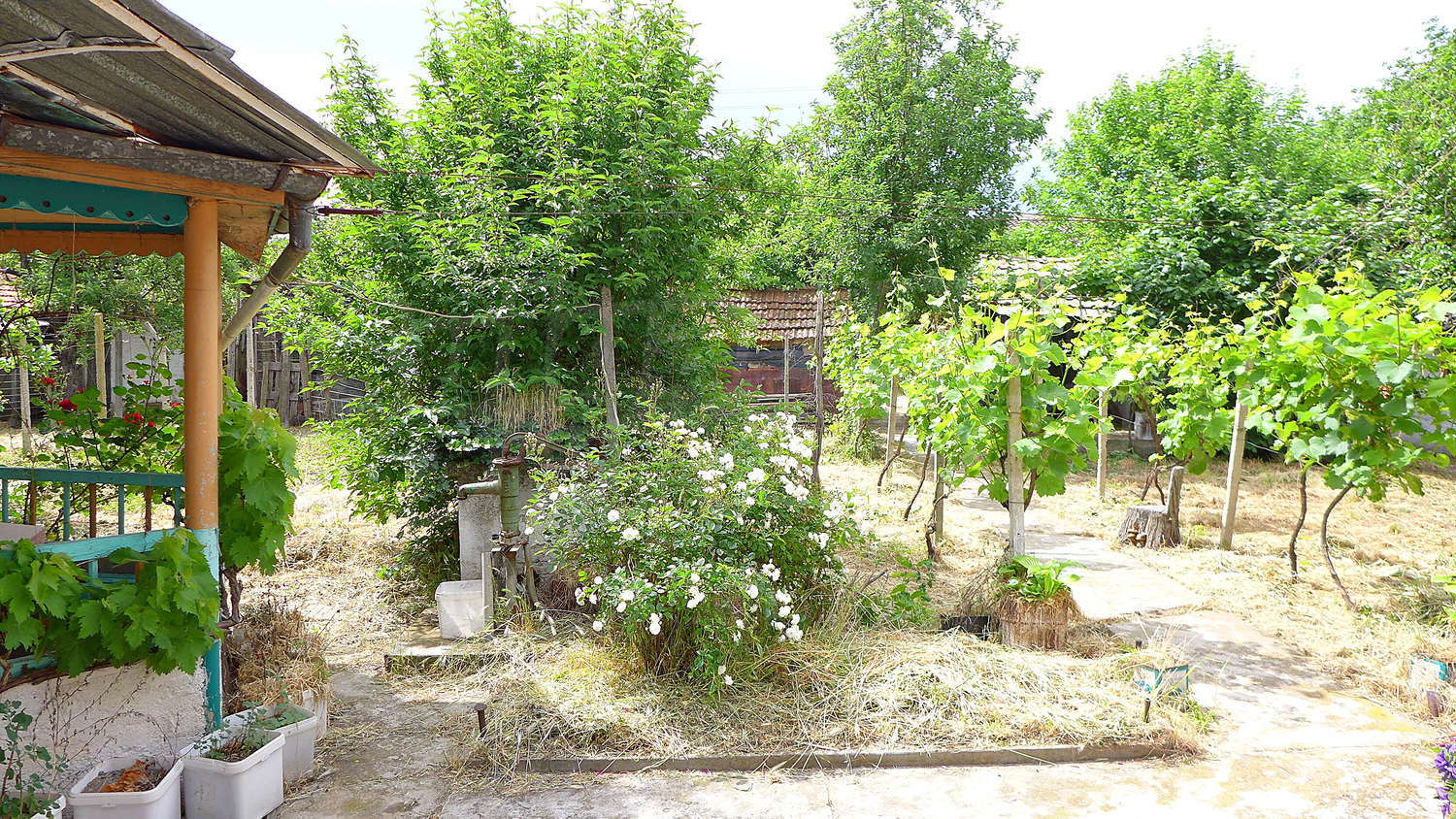 Gallery Picture 39