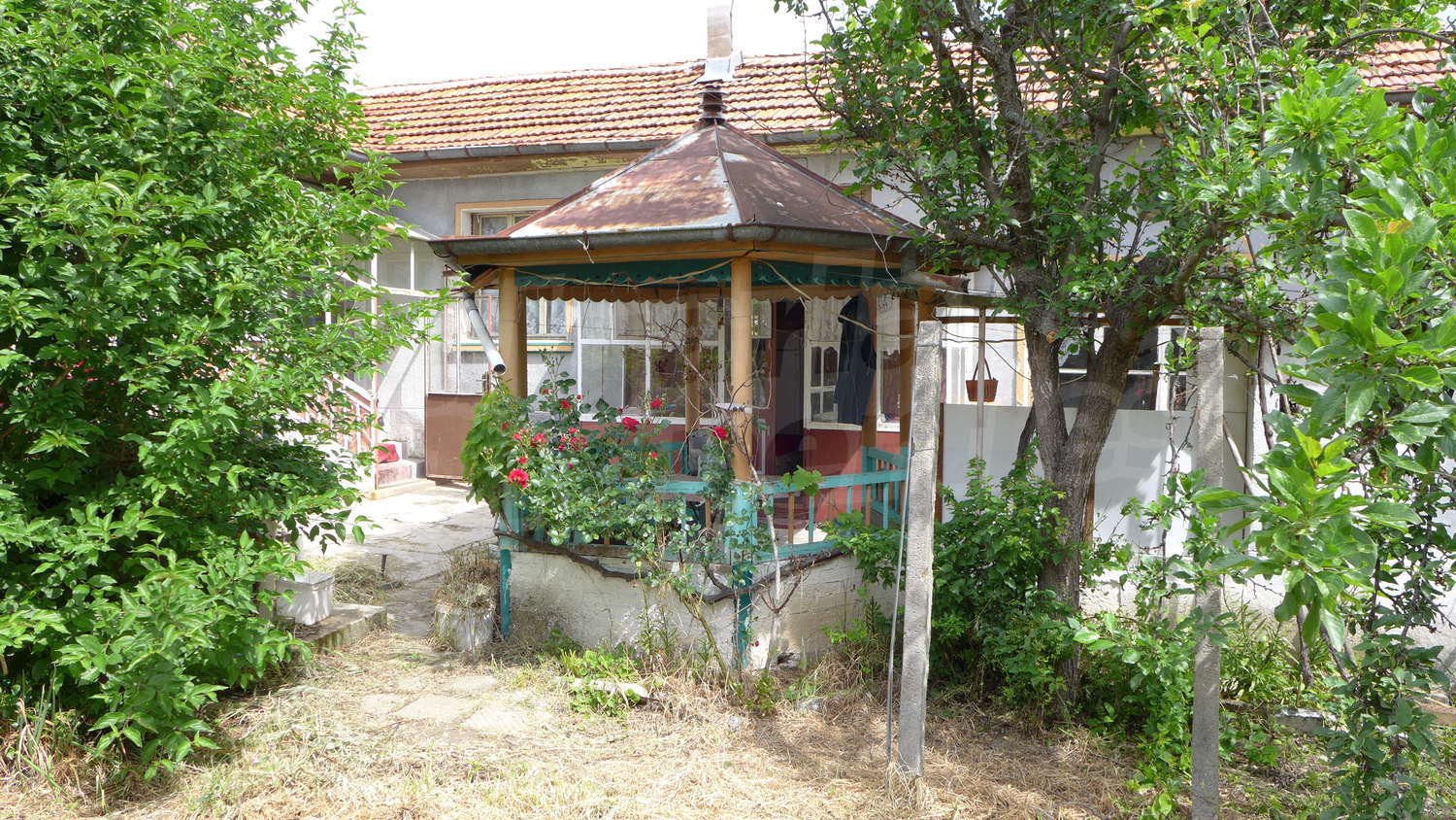 Gallery Picture 46