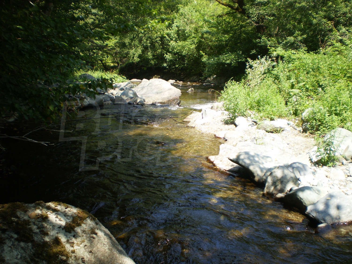Gallery Picture 10