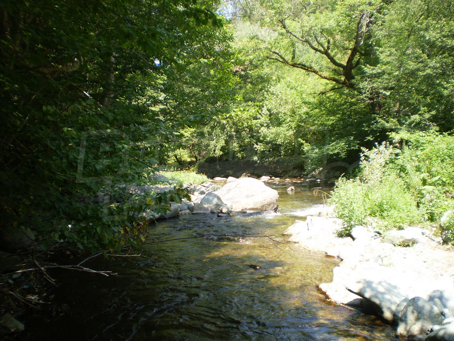 Gallery Picture 12