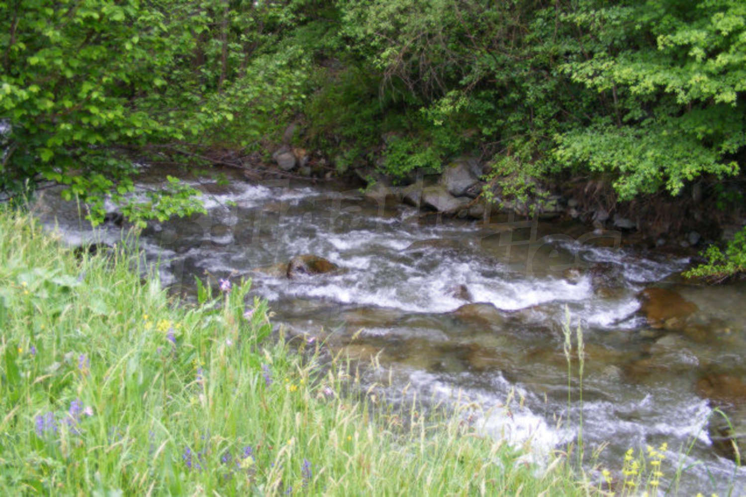 Gallery Picture 26