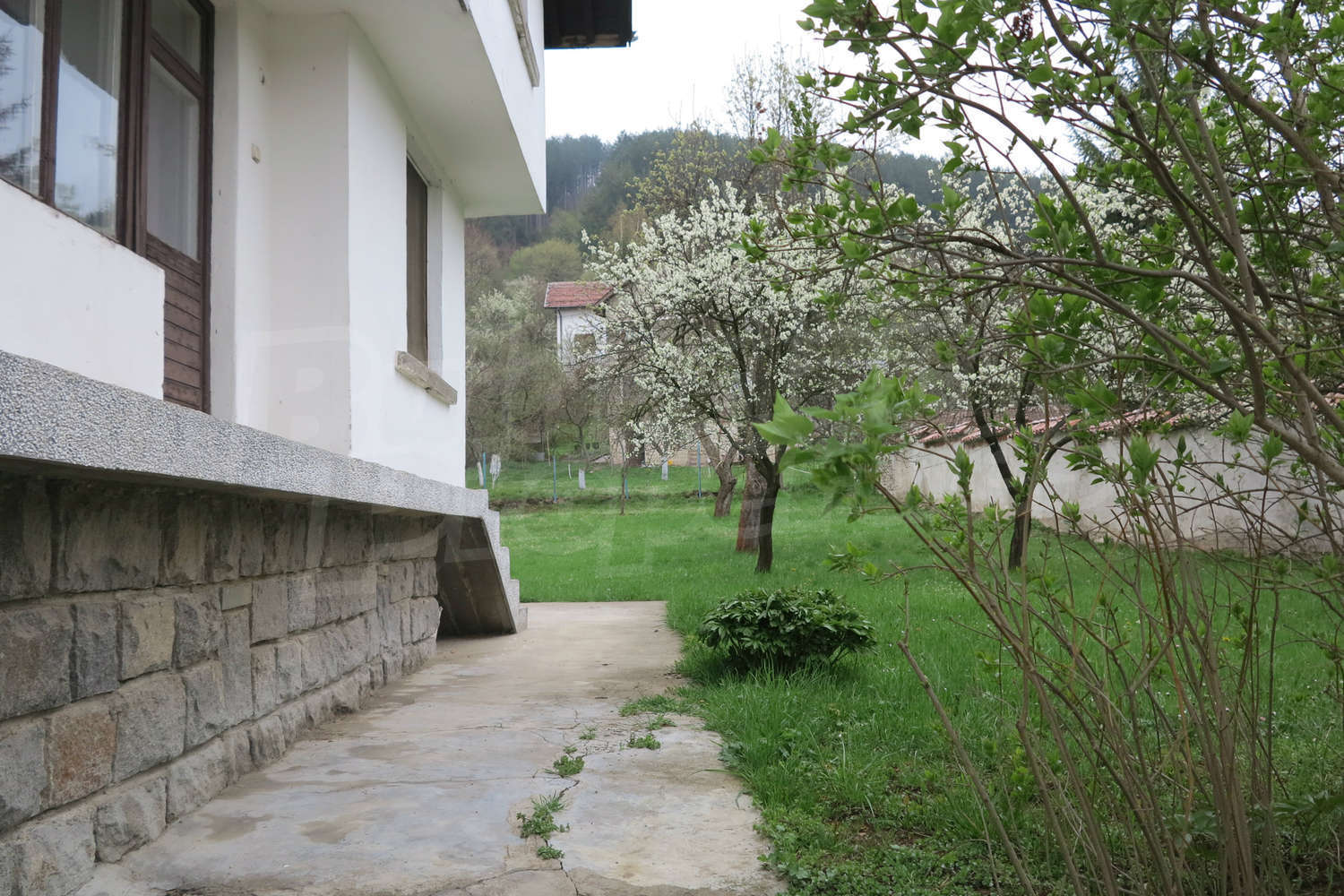 Gallery Picture 5