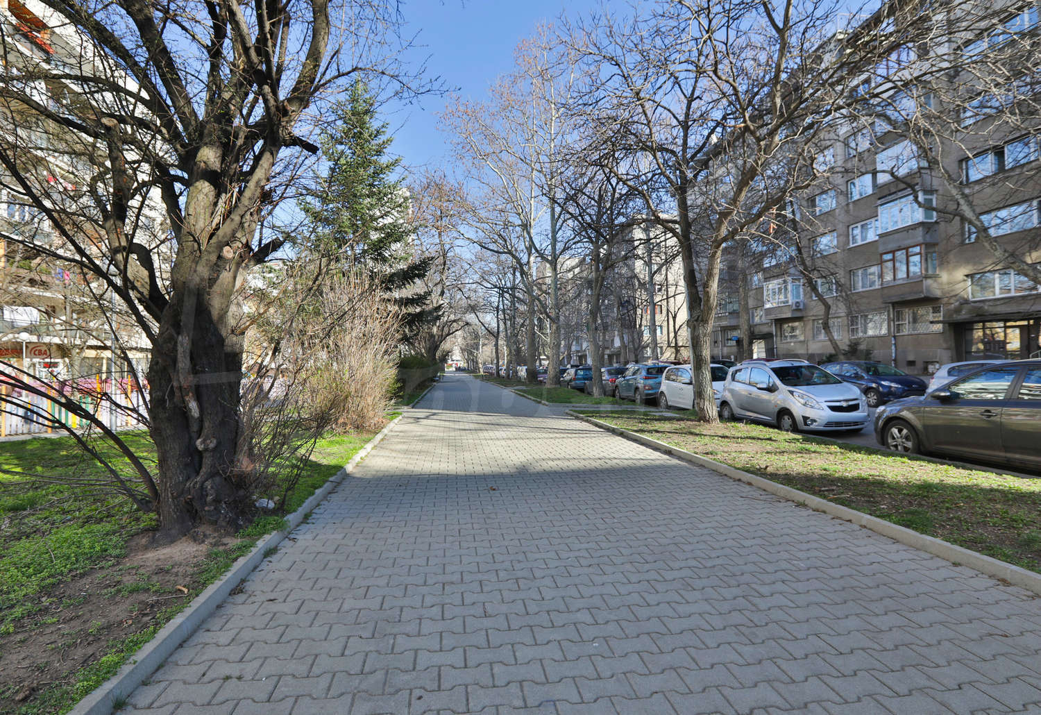 Gallery Picture 13