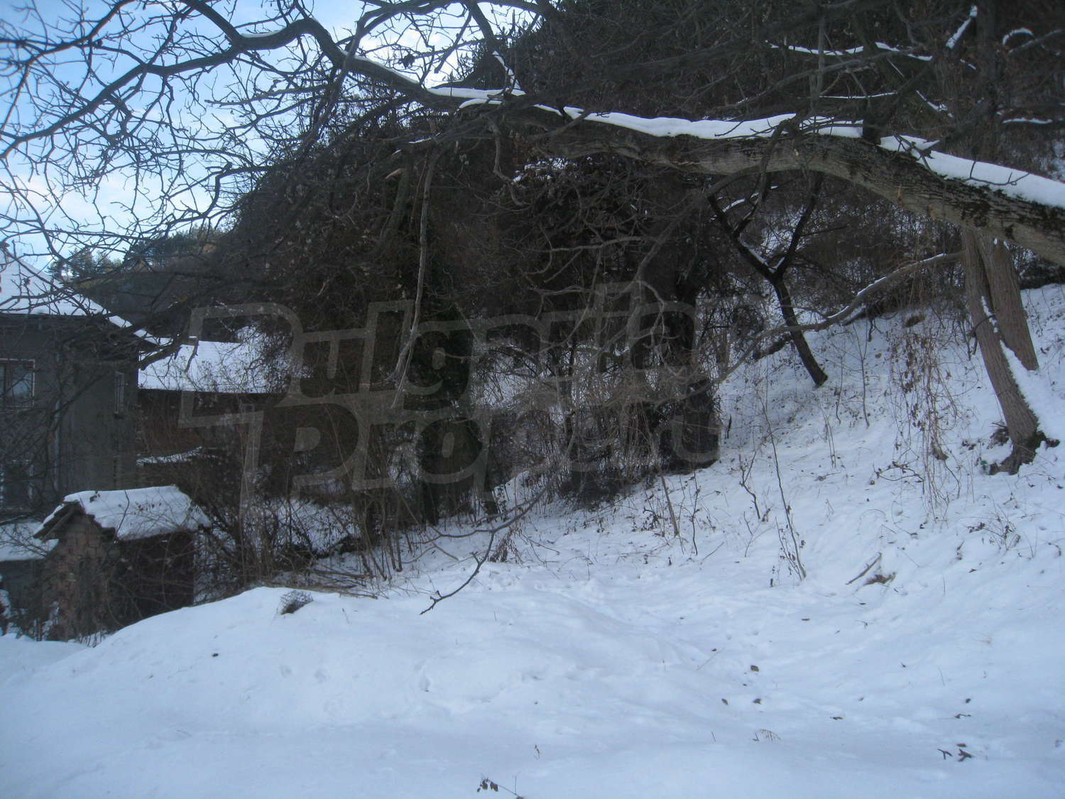 Gallery Picture 10
