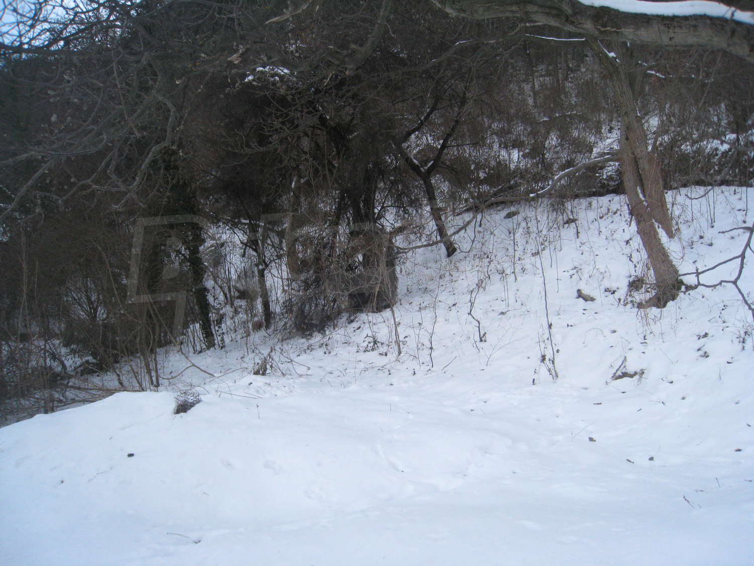 Gallery Picture 13