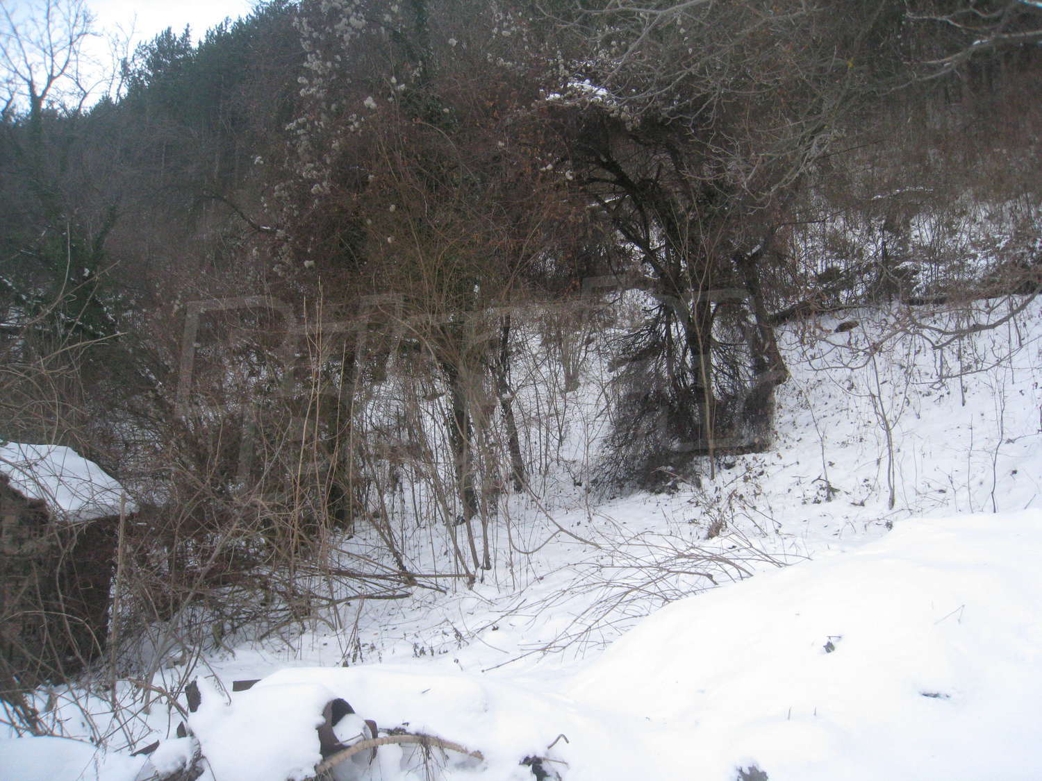 Gallery Picture 14