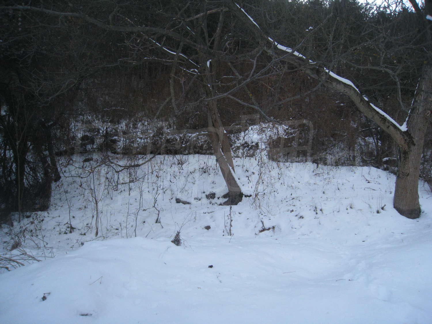 Gallery Picture 15