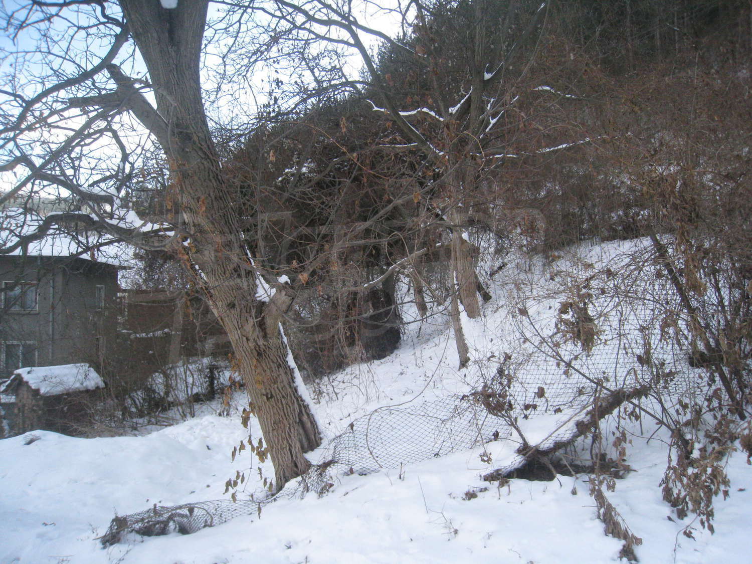 Gallery Picture 6