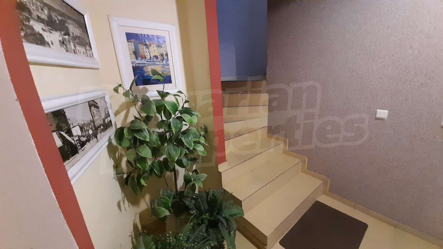 Gallery Picture 15