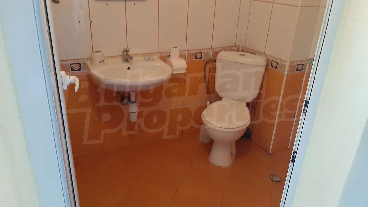 Gallery Picture 27