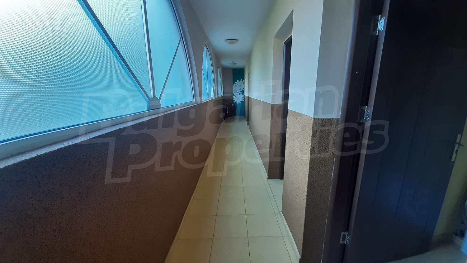 Gallery Picture 34
