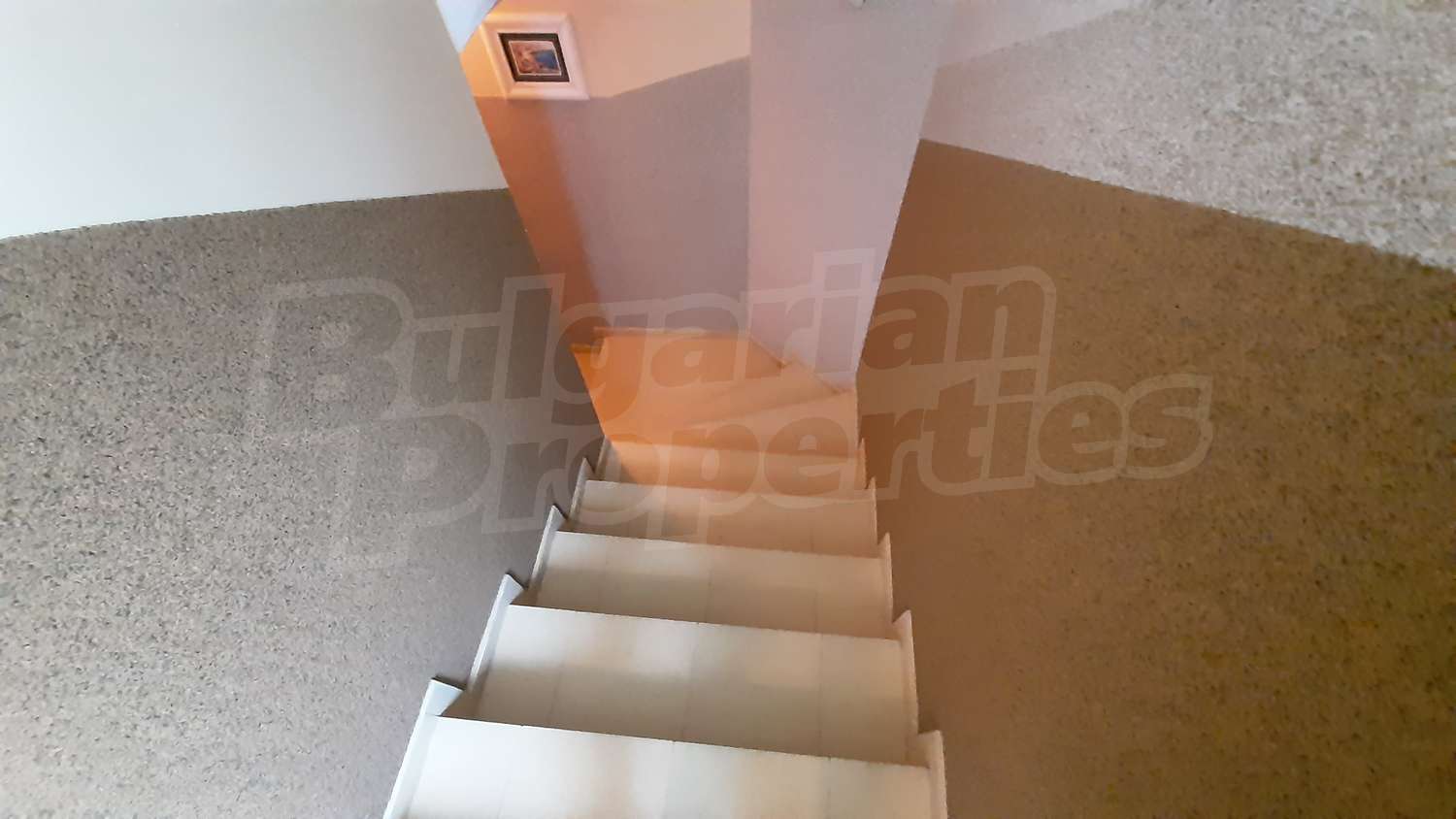 Gallery Picture 36