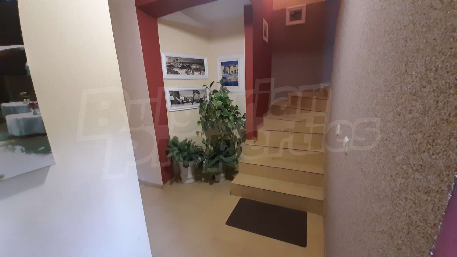 Gallery Picture 39