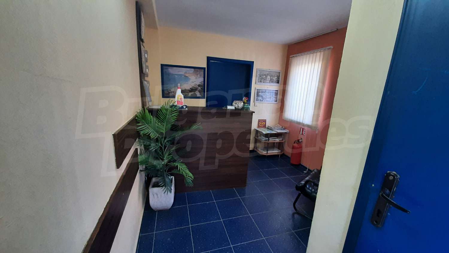 Gallery Picture 7