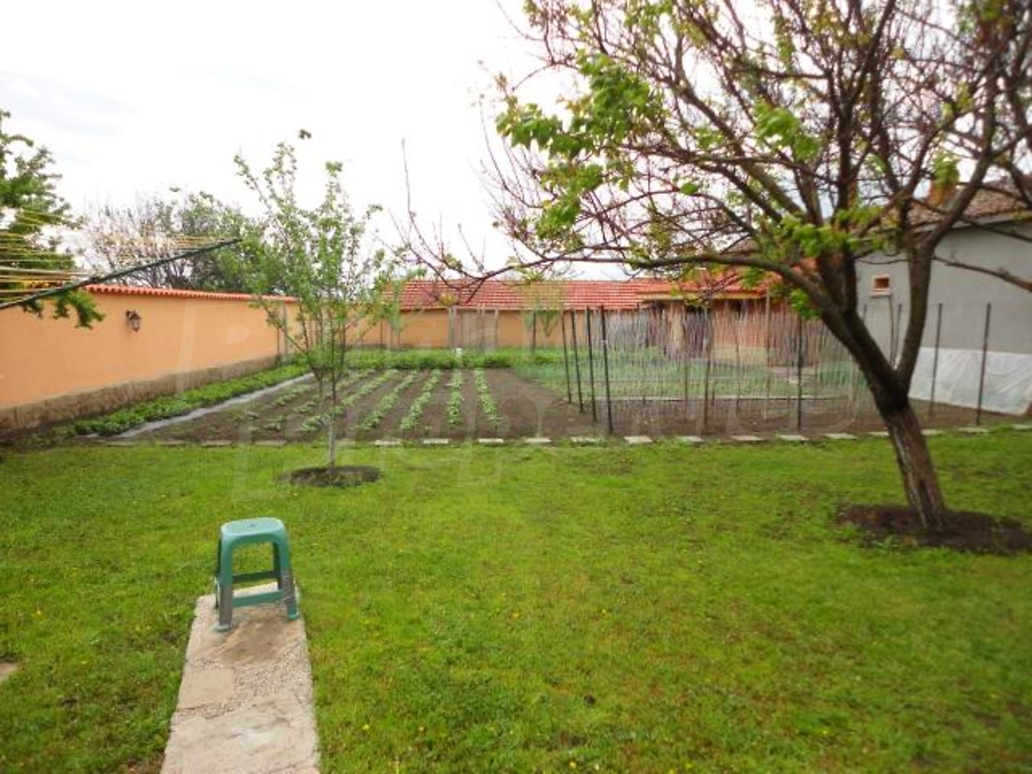 Gallery Picture 60