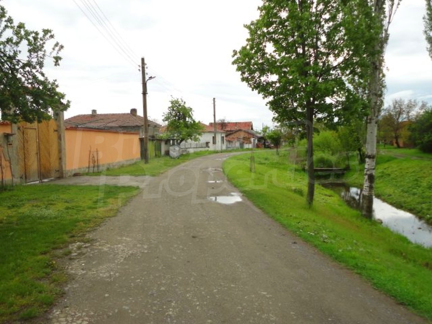 Gallery Picture 61