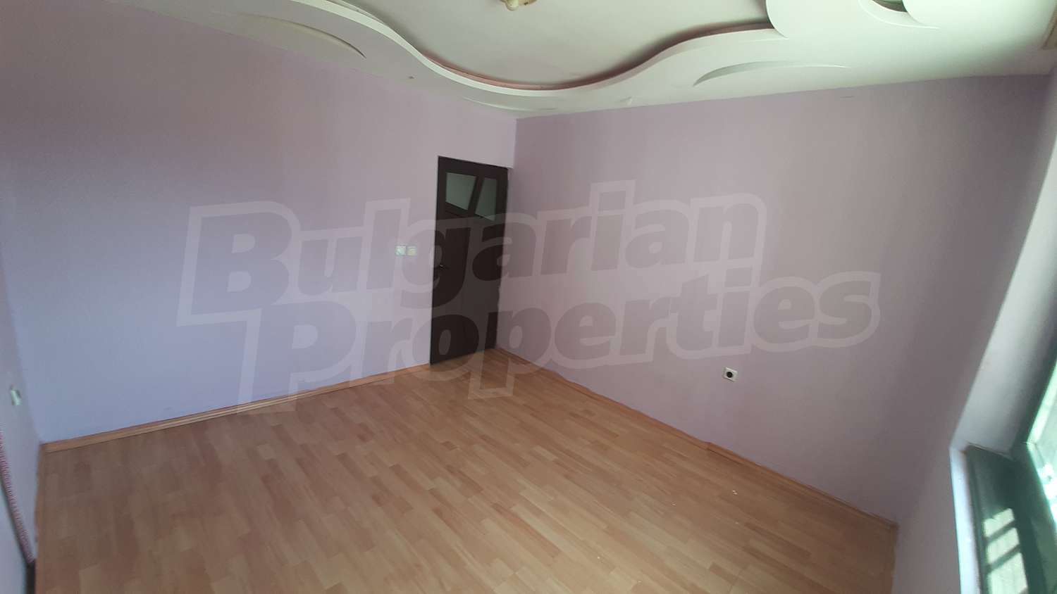 Gallery Picture 16