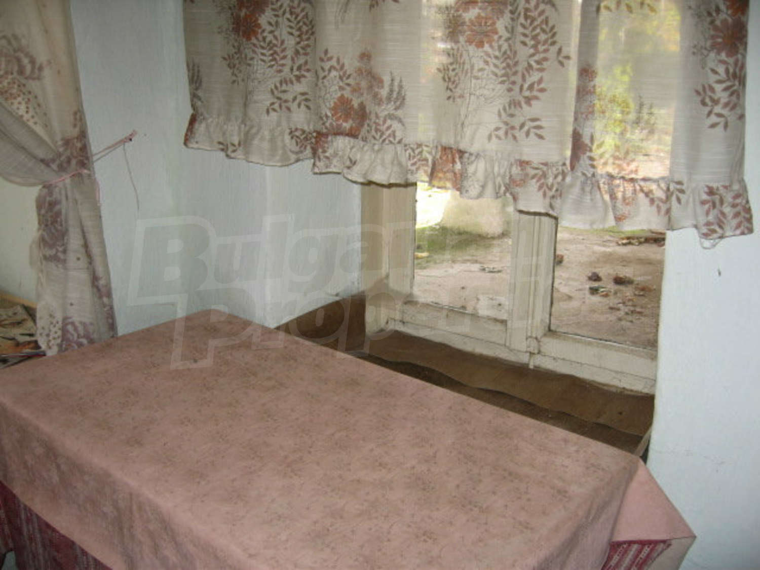 Gallery Picture 19