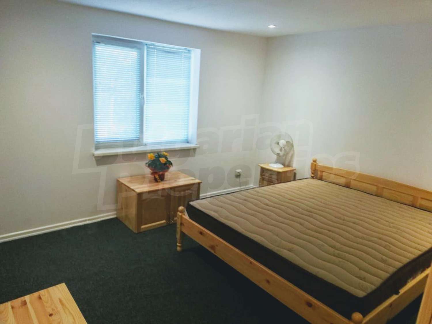 Gallery Picture 11