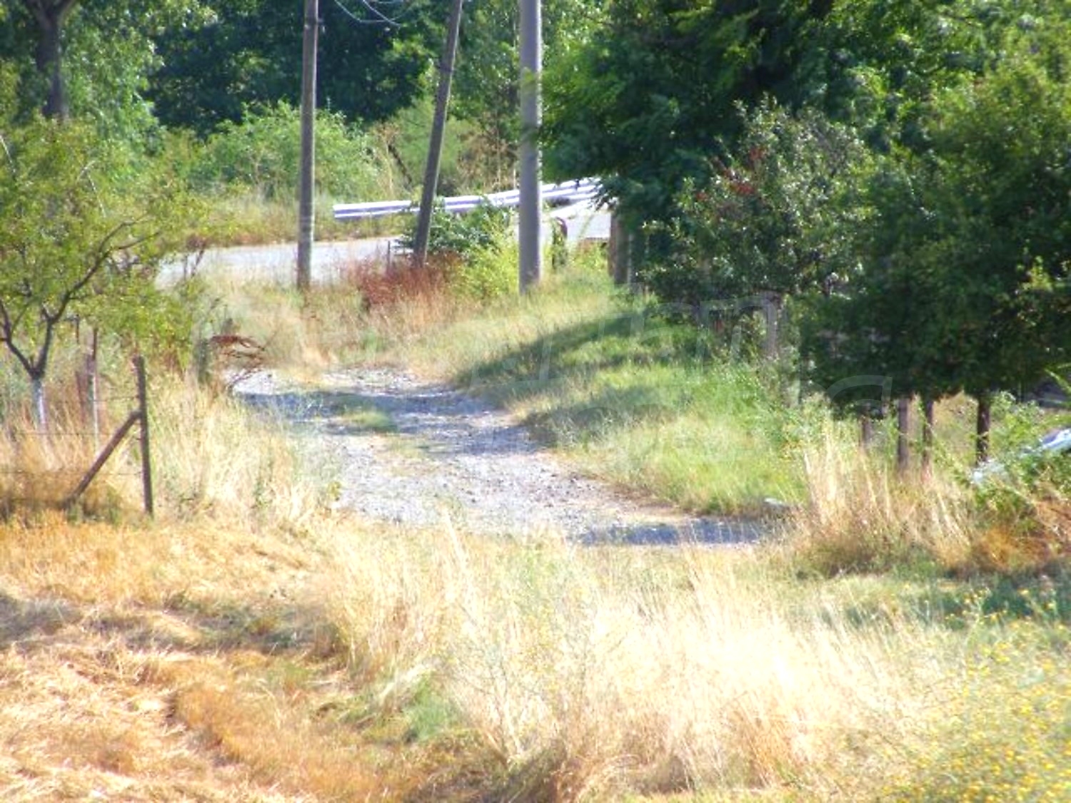 Gallery Picture 6