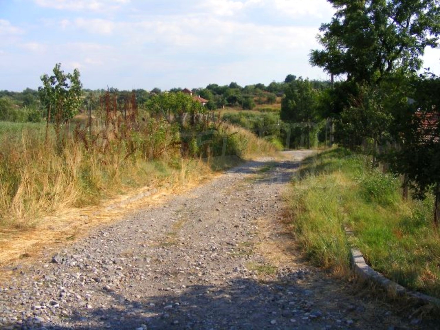 Gallery Picture 7