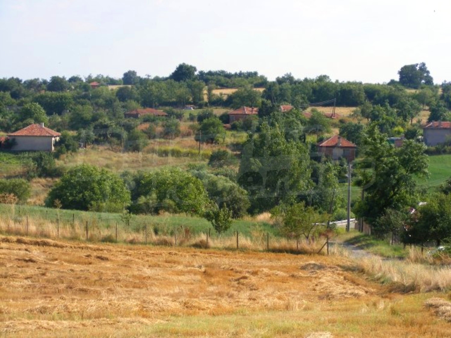 Gallery Picture 8