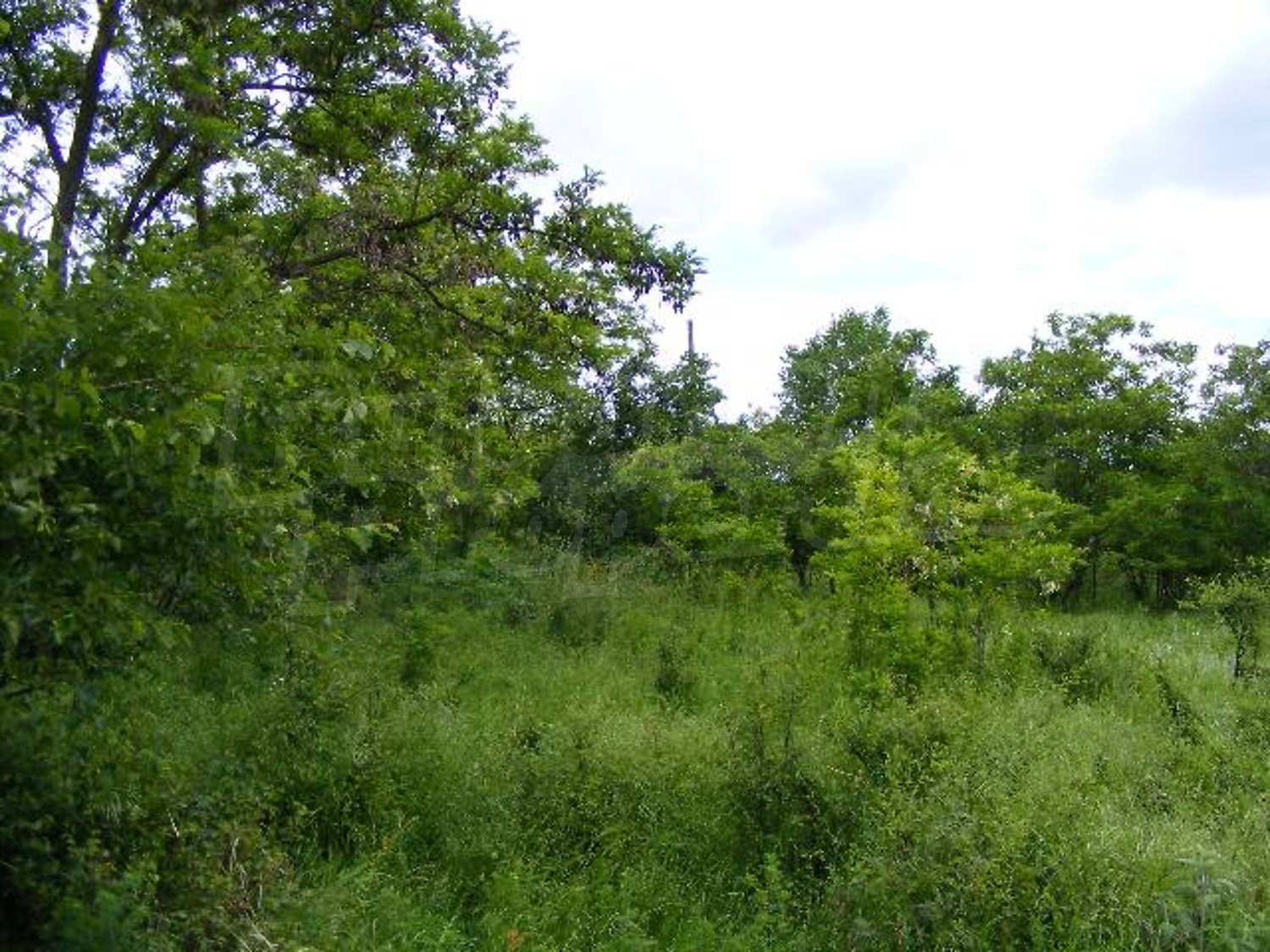 Gallery Picture 2
