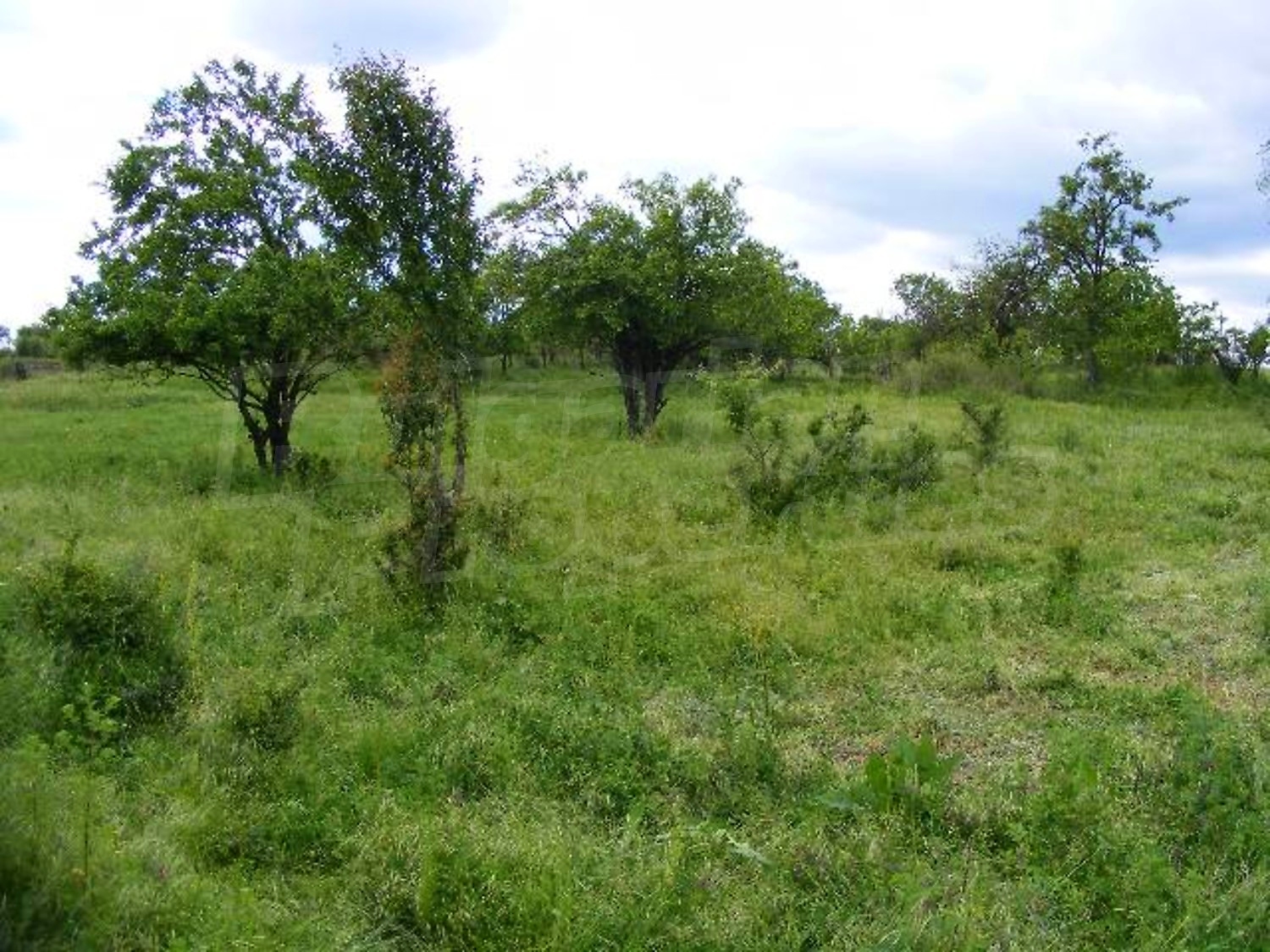 Gallery Picture 8