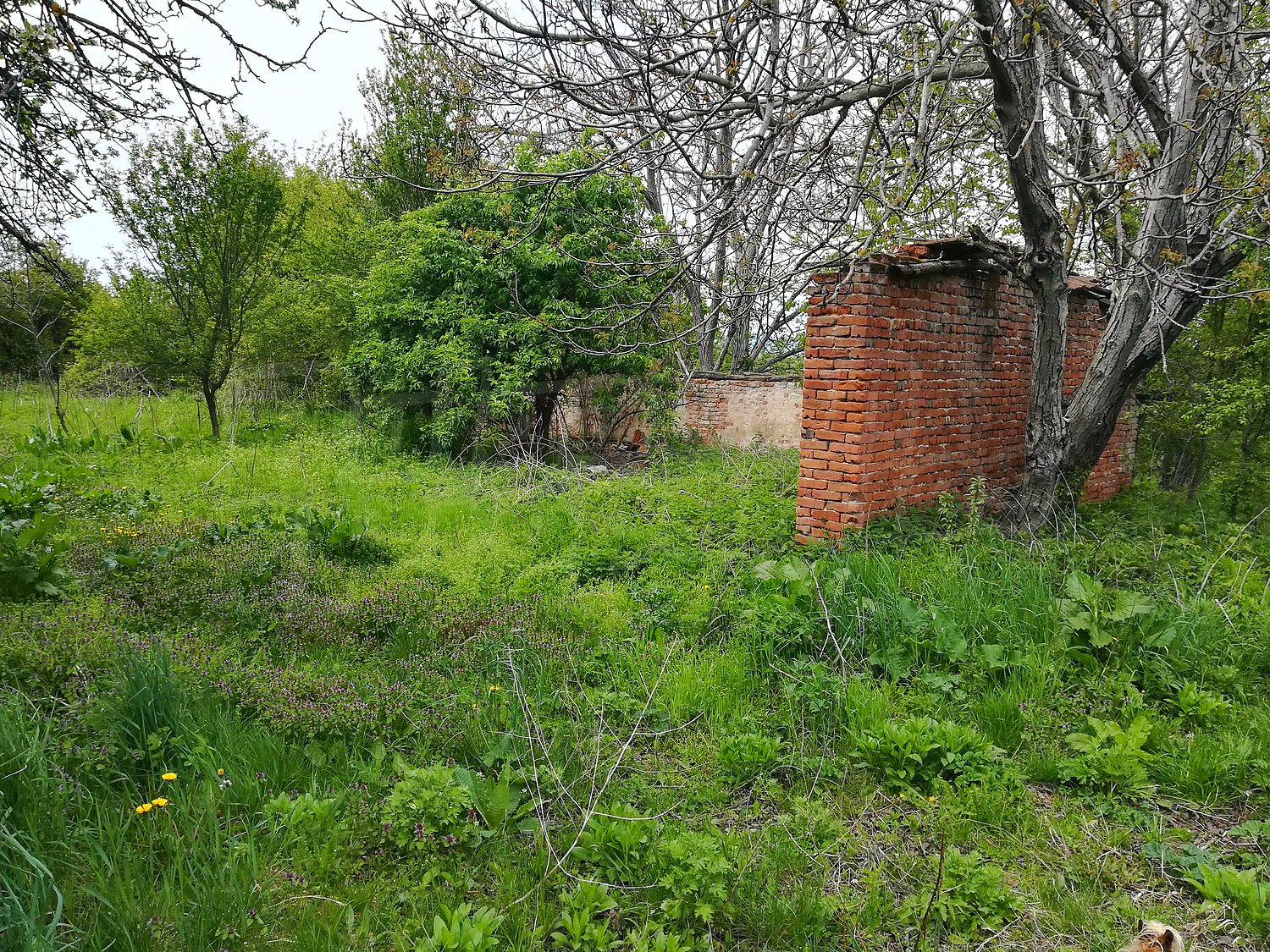 Farm for sale near Strazhitsa, Bulgaria. Farm with adjacent land in
