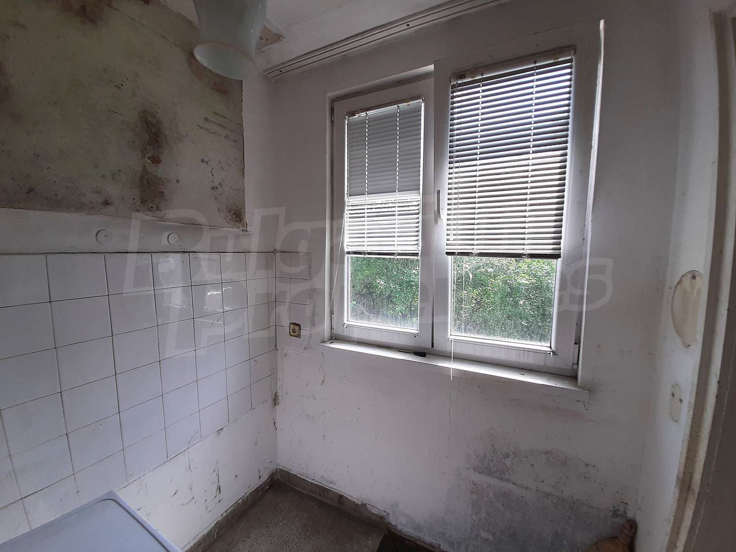 Gallery Picture 10