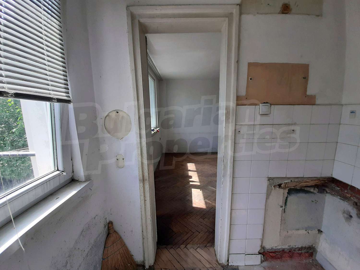 Gallery Picture 11