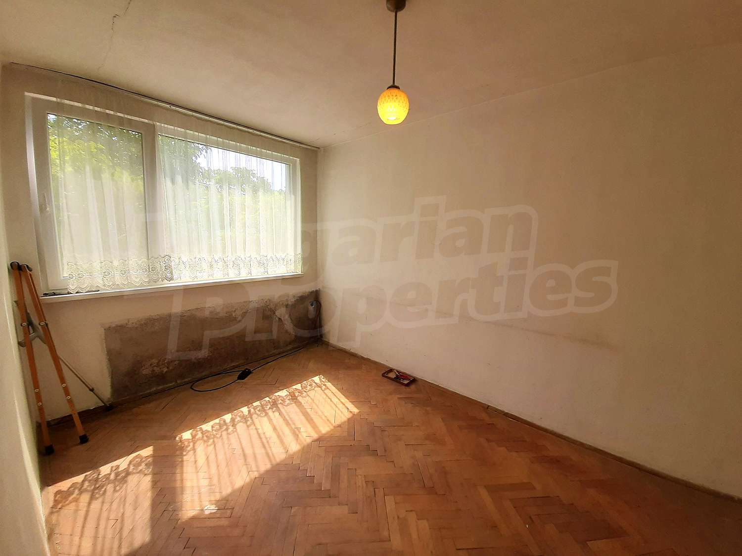 Gallery Picture 16
