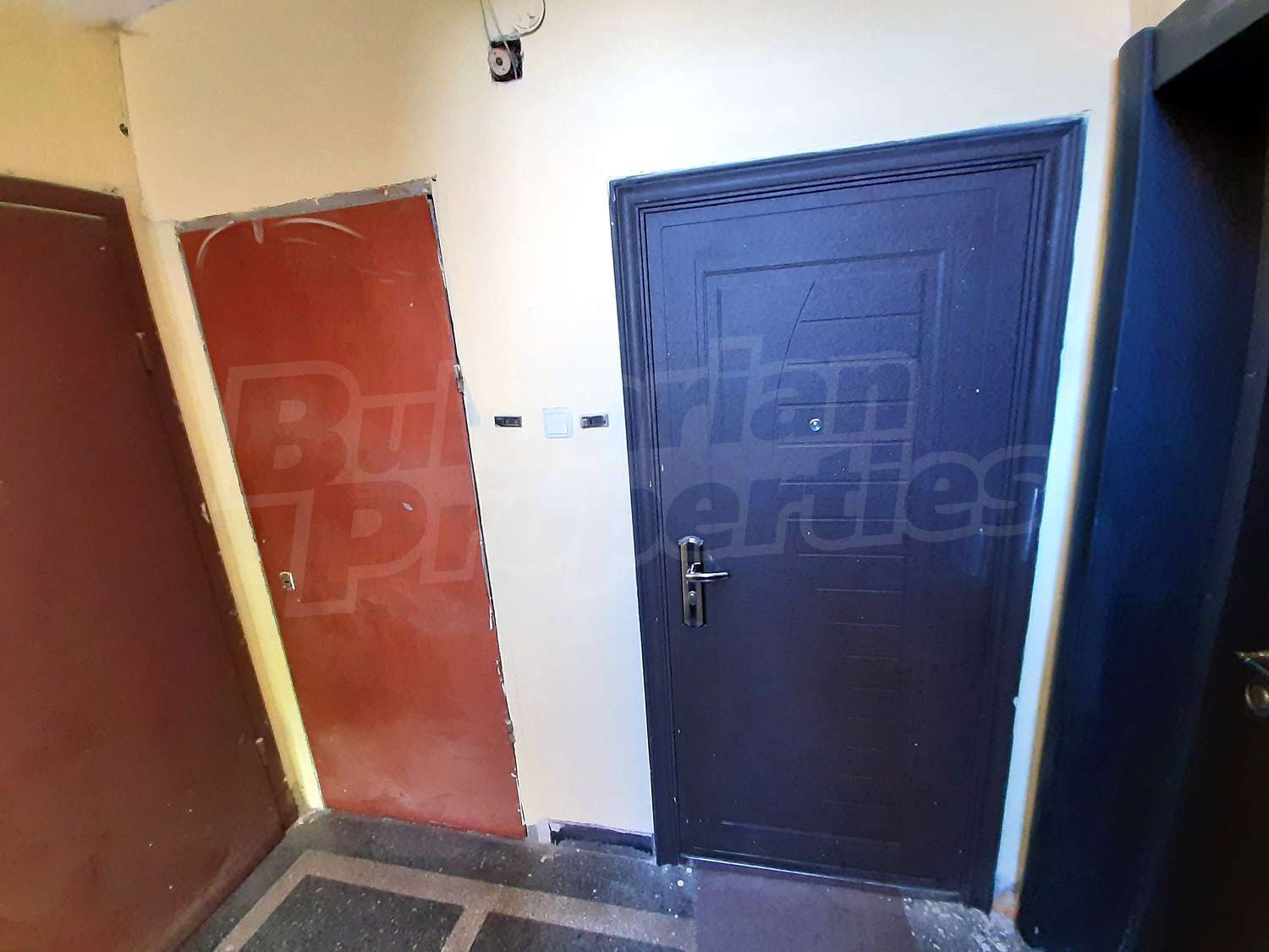 Gallery Picture 24