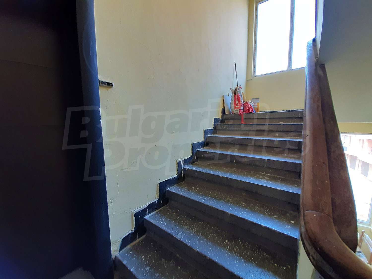 Gallery Picture 25