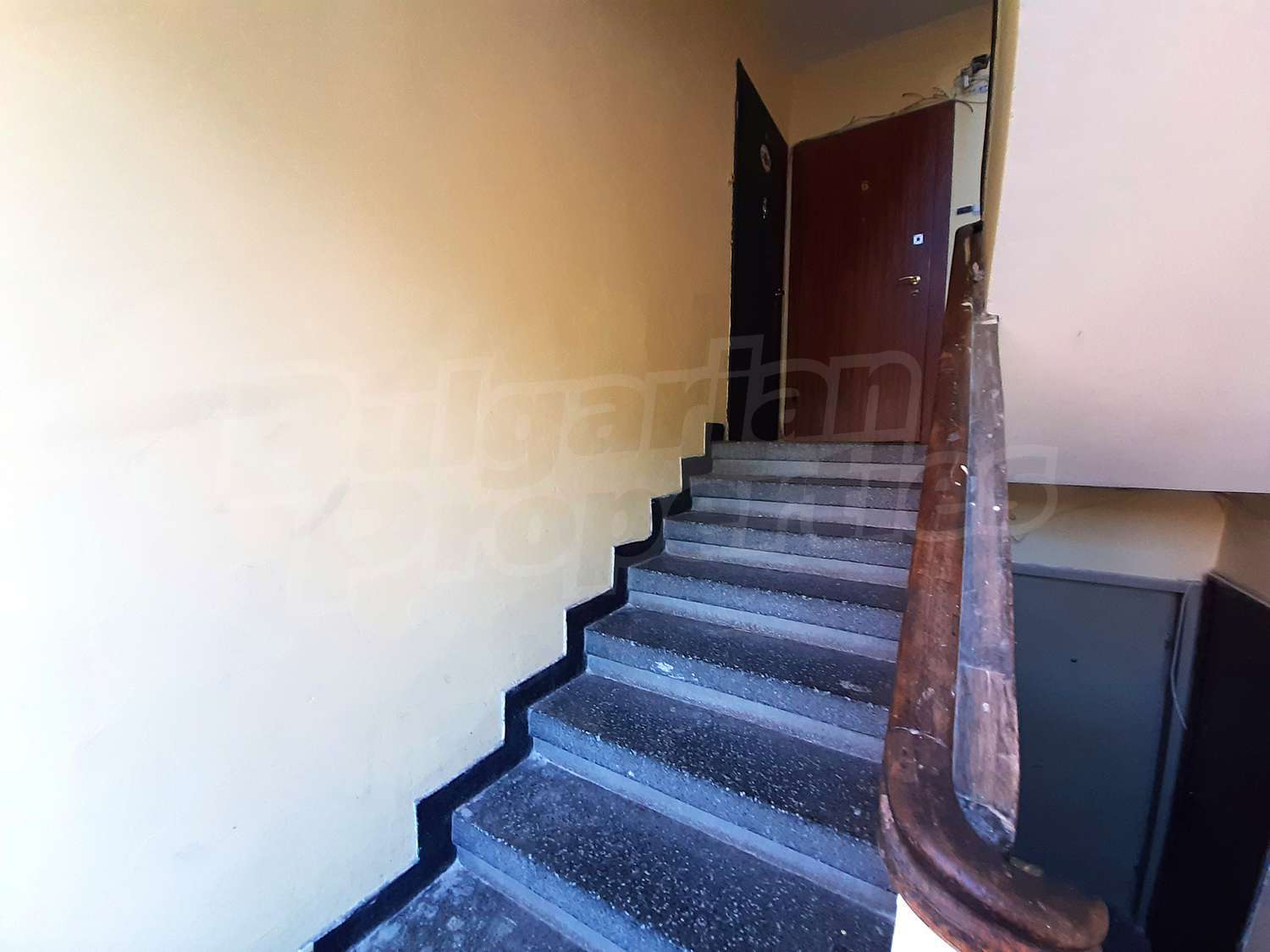 Gallery Picture 26