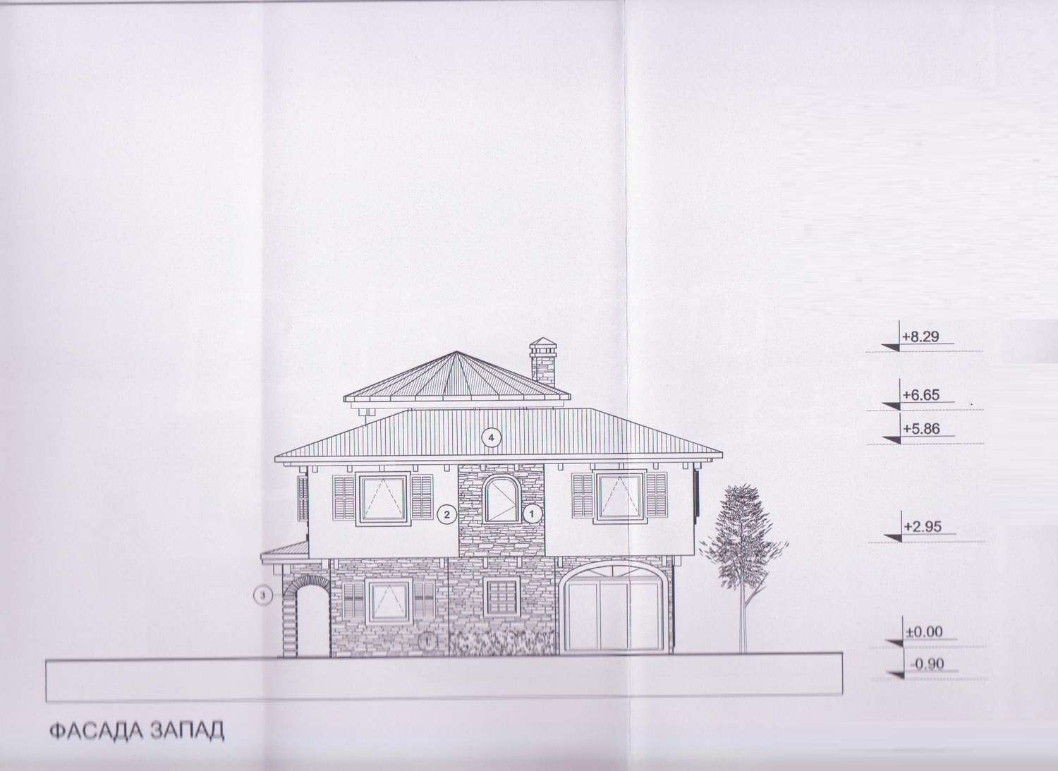 Gallery Picture 19
