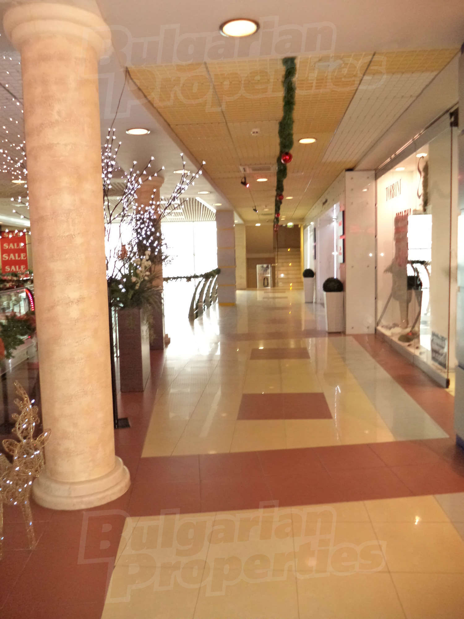 Gallery Picture 10