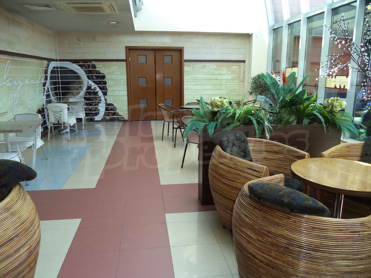 Gallery Picture 8