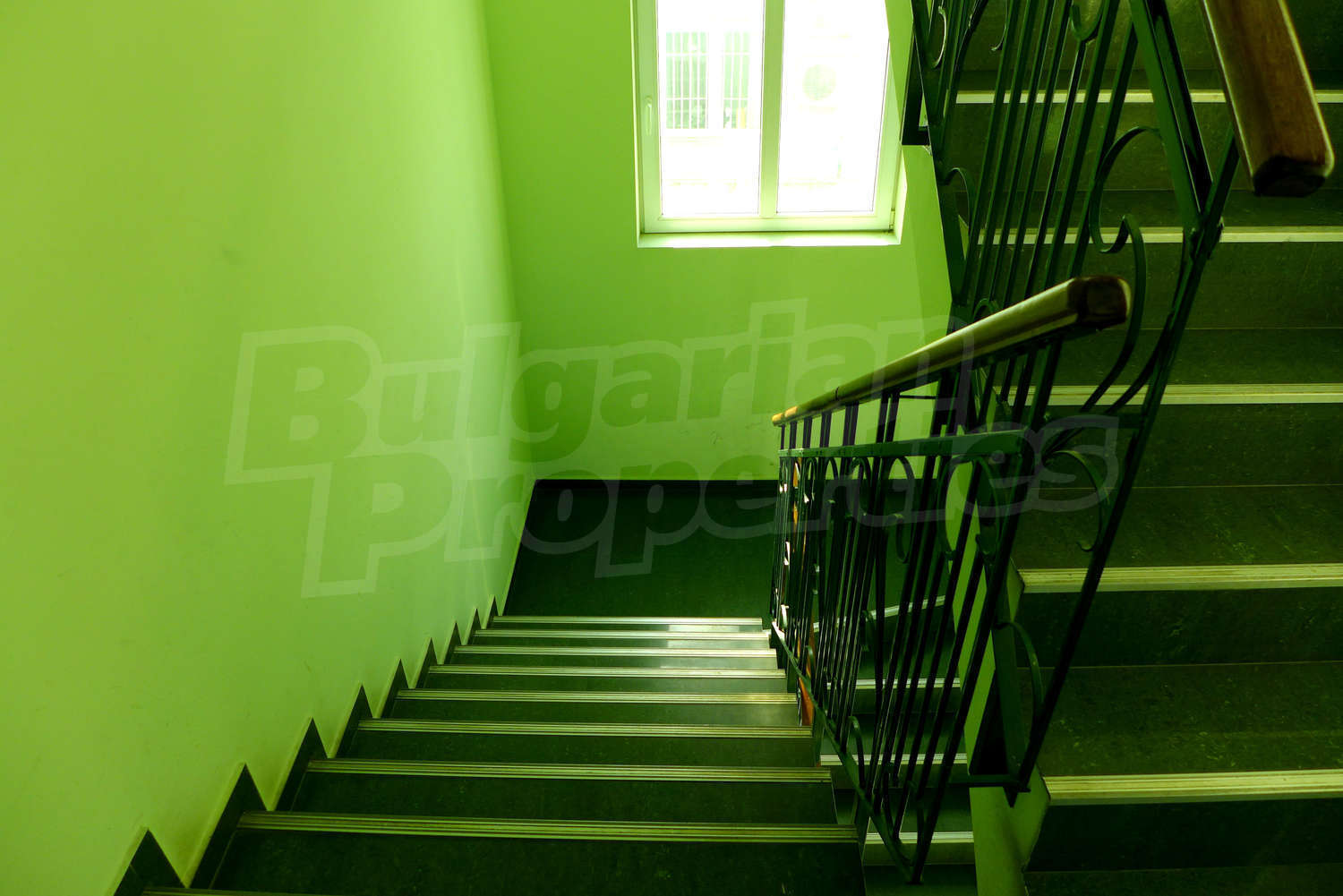 Gallery Picture 7
